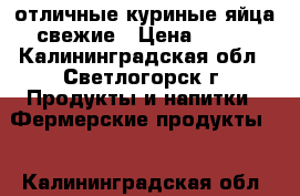 отличные куриные яйца свежие › Цена ­ 120 - Калининградская обл., Светлогорск г. Продукты и напитки » Фермерские продукты   . Калининградская обл.